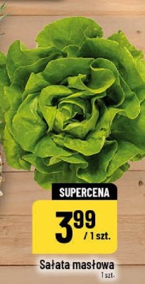 Sałata masłowa promocja w POLOmarket