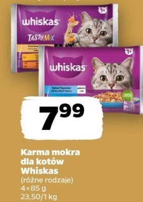 Karma mokra dla kotów różne rodzaje promocja w Netto