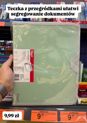 Teczka z przegródkami do segregowania dokumentów promocja w Biedronka