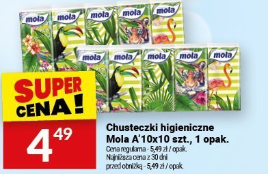 Chusteczki higieniczne Mola 1 opak. promocja w Twój Market