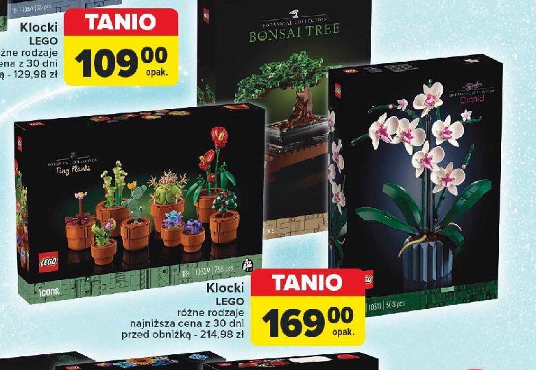 Klocki 10281 promocja w Carrefour