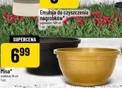 Misa promocja w POLOmarket