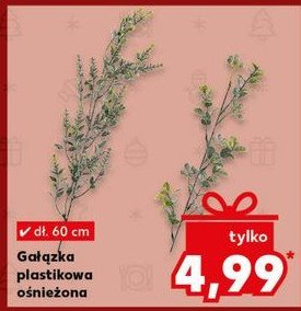 Gałązka plastikowa ośnieżona 60 cm promocja w Kaufland