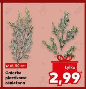 Gałązka 50 cm promocja