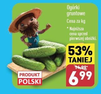 Ogórek gruntowy polska promocja w Aldi