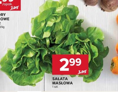 Sałata masłowa promocja w Stokrotka