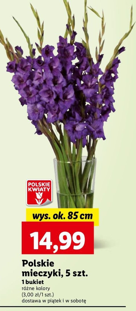 Mieczyk dł. 85 cm promocja