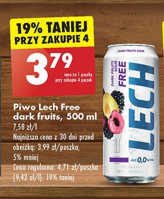 Piwo Lech free dark fruits sour promocja