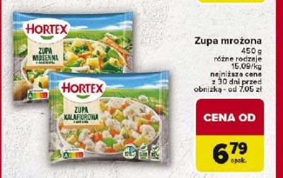 Zupa wiosenna 9-składnikowa Hortex promocja