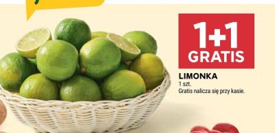 Limonka promocja w Stokrotka