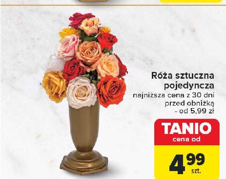 Róża pojedyńcza rozwinięta promocja