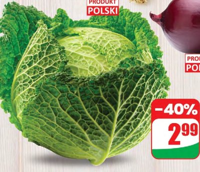 Kapusta włoska promocja w Dino