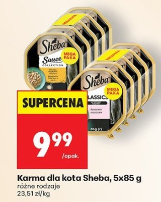 Karma dla kota różne rodzaje promocja w Biedronka