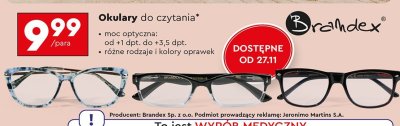 Okulary do czytania Brandex promocja w Biedronka