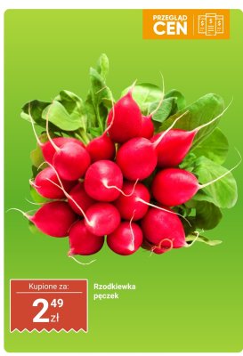 Rzodkiewka pęczek promocja w Dino