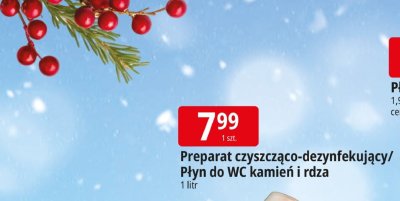 Preparat czyszcząco-dezynfekujący/Płyn do WC kamień i rdza Syphon promocja w Leclerc