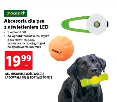 Piłka dla psa led Zoofari promocja