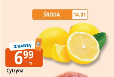 Cytryna Leclerc promocja w Leclerc