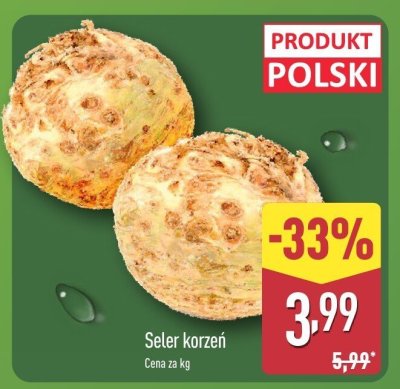 Seler korzeń promocja w Aldi