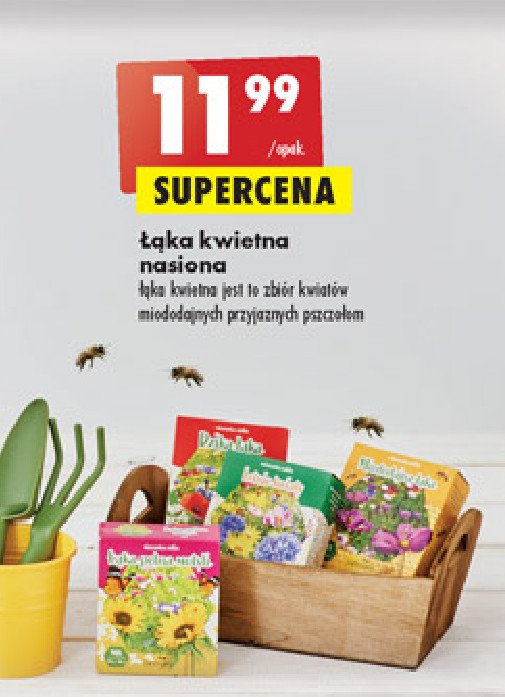 Nasiona 艂膮ka kwietna promocja