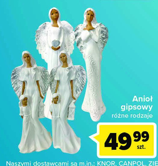 Anio艂 gipsowy promocja