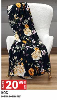 Koc, różne rozmiary promocja w Merkury Market