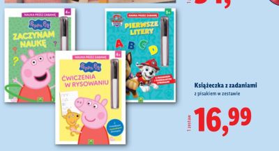 Książeczka z zadaniami z pisakiem w zestawie Lidl promocja w Lidl
