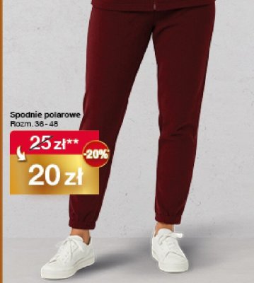 Spodnie polarowe damskie Rozm. 36 - 48 promocja w Woolworth