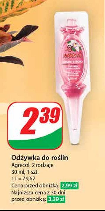 Odżywka orchid strong Agrecol promocja w Dino