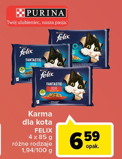 Karma dla kota rybne smaki w galaretce Purina felix fantastic promocja