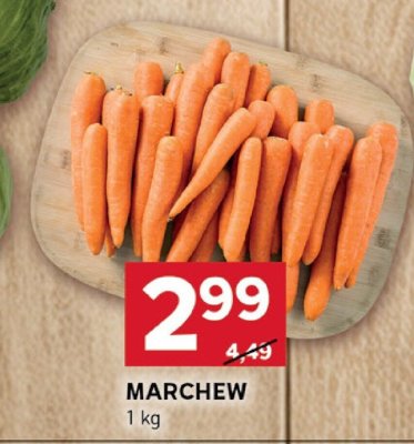 Marchewka młoda promocja w Stokrotka