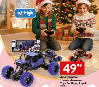 Auto terenowe zdalnie sterowane Toys For Boys, 1 opak. promocja w Twój Market