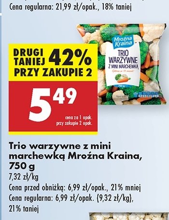 Trio warzywne Mroźna kraina promocja w Biedronka