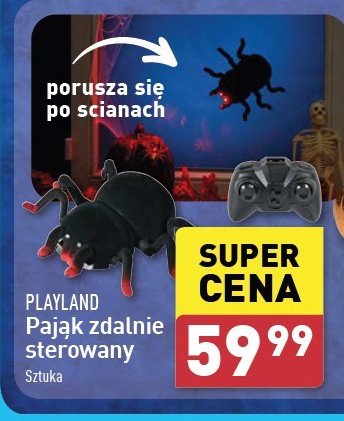 Pająk Playland promocja w Aldi