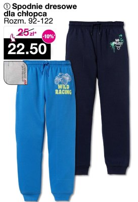 Spodnie dresowe dla chłopca promocja w Woolworth