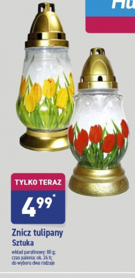 Znicz tulipan promocja