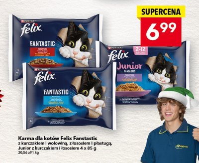 Karma dla kotów Felix Junior Fanstastic z kurczakiem i łososiem promocja w LEWIATAN