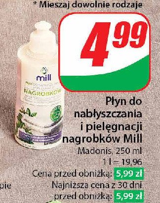 Płyn do nabłyszczania i pielęgnacji nagrobków promocja w Dino