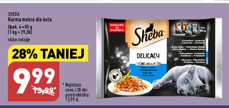 Karma dla kota z tuńczykiem Sheba delicacy in jelly promocja