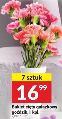 Bukiet cięty gałązkowy goździk, 1 kpl. promocja w Twój Market