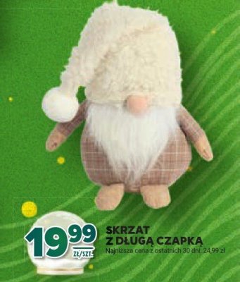 Skrzat z długą czapką promocja w Stokrotka