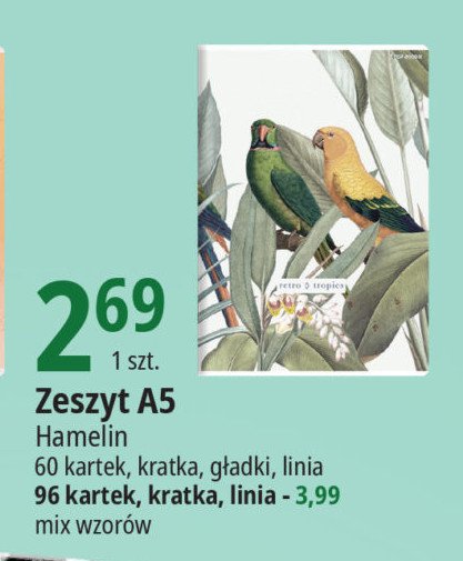 Zeszyt a5/60 k. g艂adki Hamelin promocja
