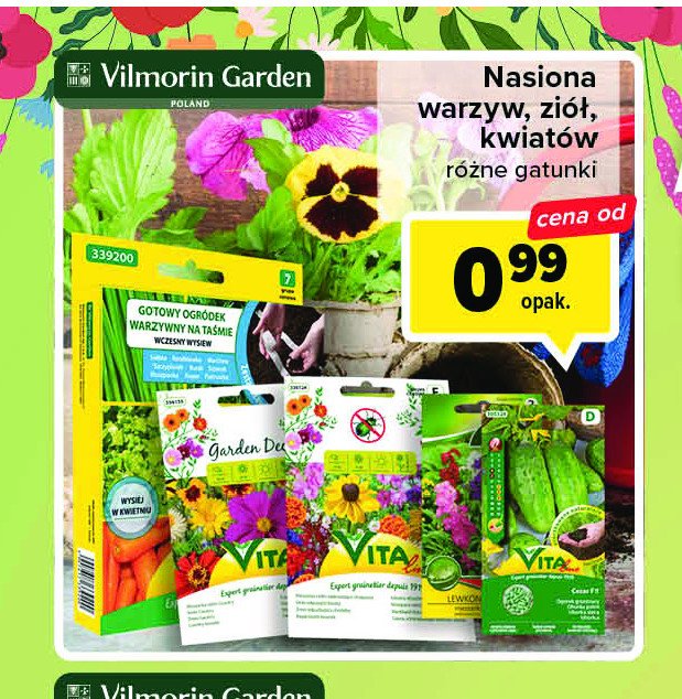 Ogórek Vilmorin garden promocja