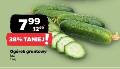 Ogórek gruntowy luz promocja w Netto