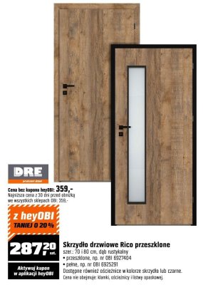 Skrzydło drzwiowe Rico przeszklone promocja w OBI