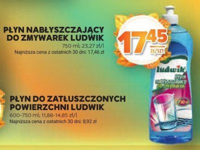 P艂yn do zat艂uszczonych powierzchni Ludwik promocja w Stokrotka