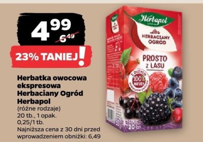Herbata promocja w Netto