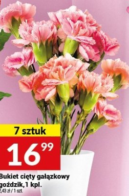 Bukiet cięty gałązkowy goździk, 1 kpl. promocja w Twój Market
