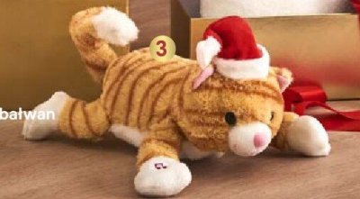 Turlający się kot promocja w Castorama