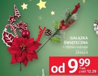 Gałązka świąteczna różne rodzaje promocja w Selgros